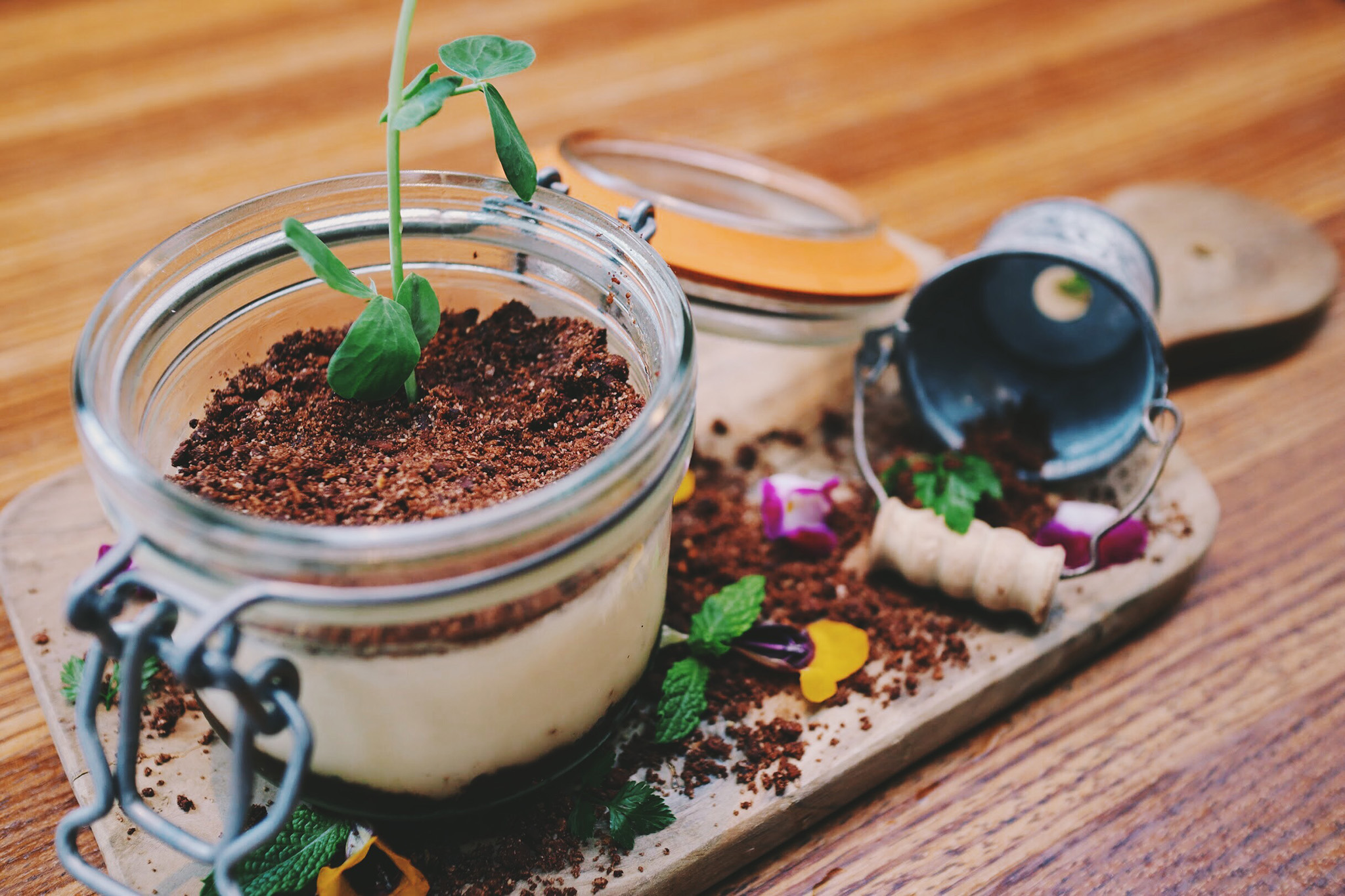 畑のティラミス